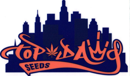 Top Dawg Seeds
