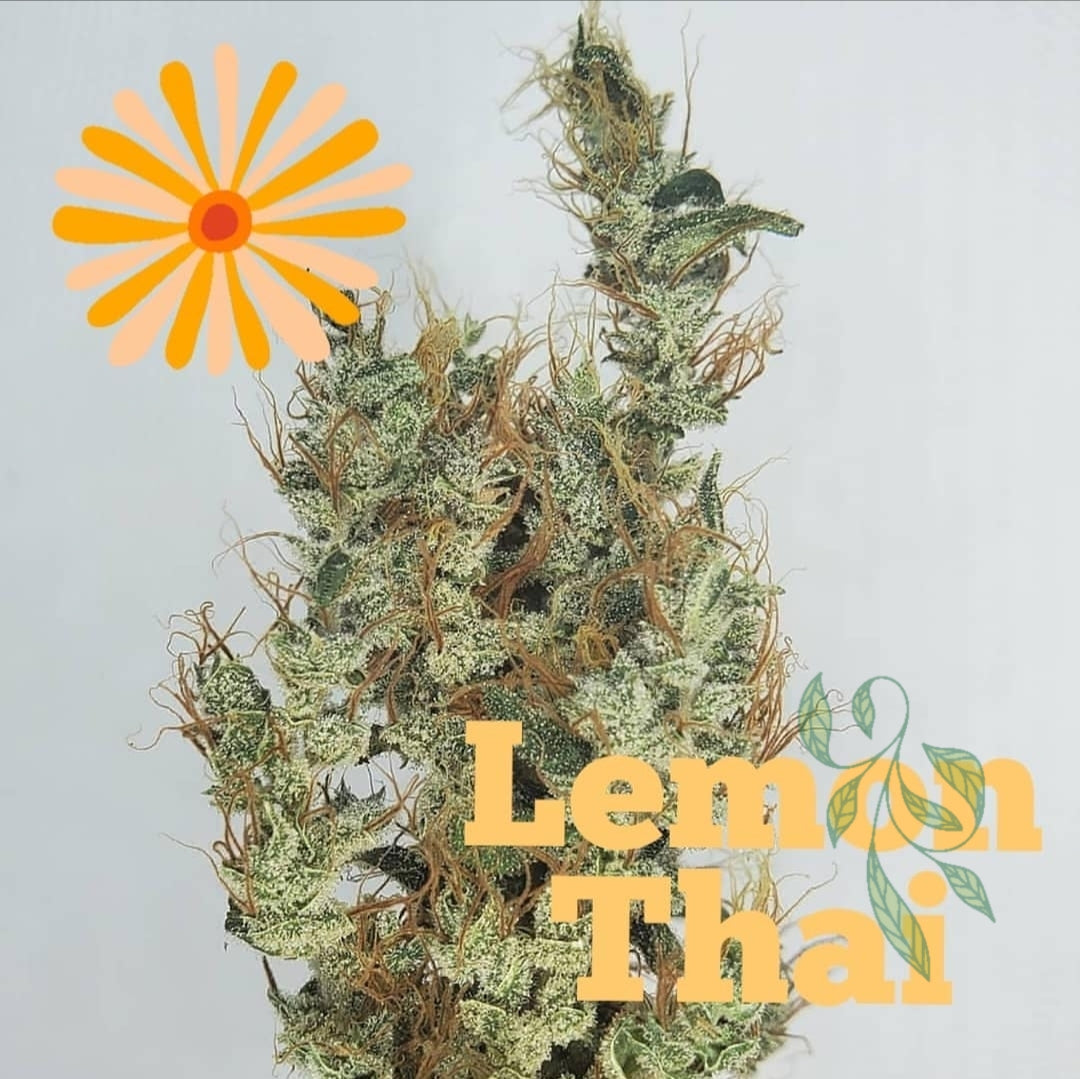 Blackbird Preservations - Lemon Thai IX