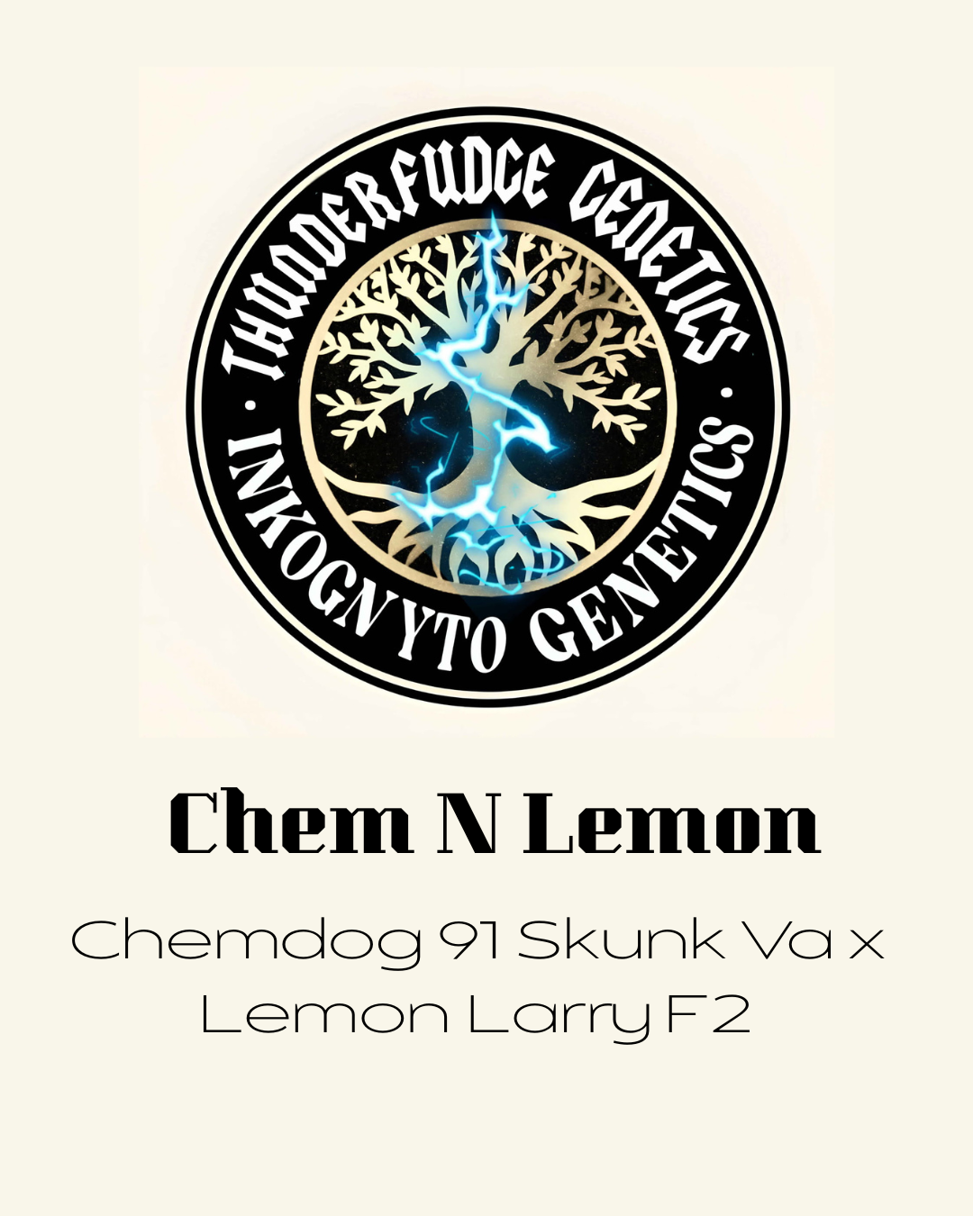 Thunderfudge x Inkognyto - Chem N Lemon