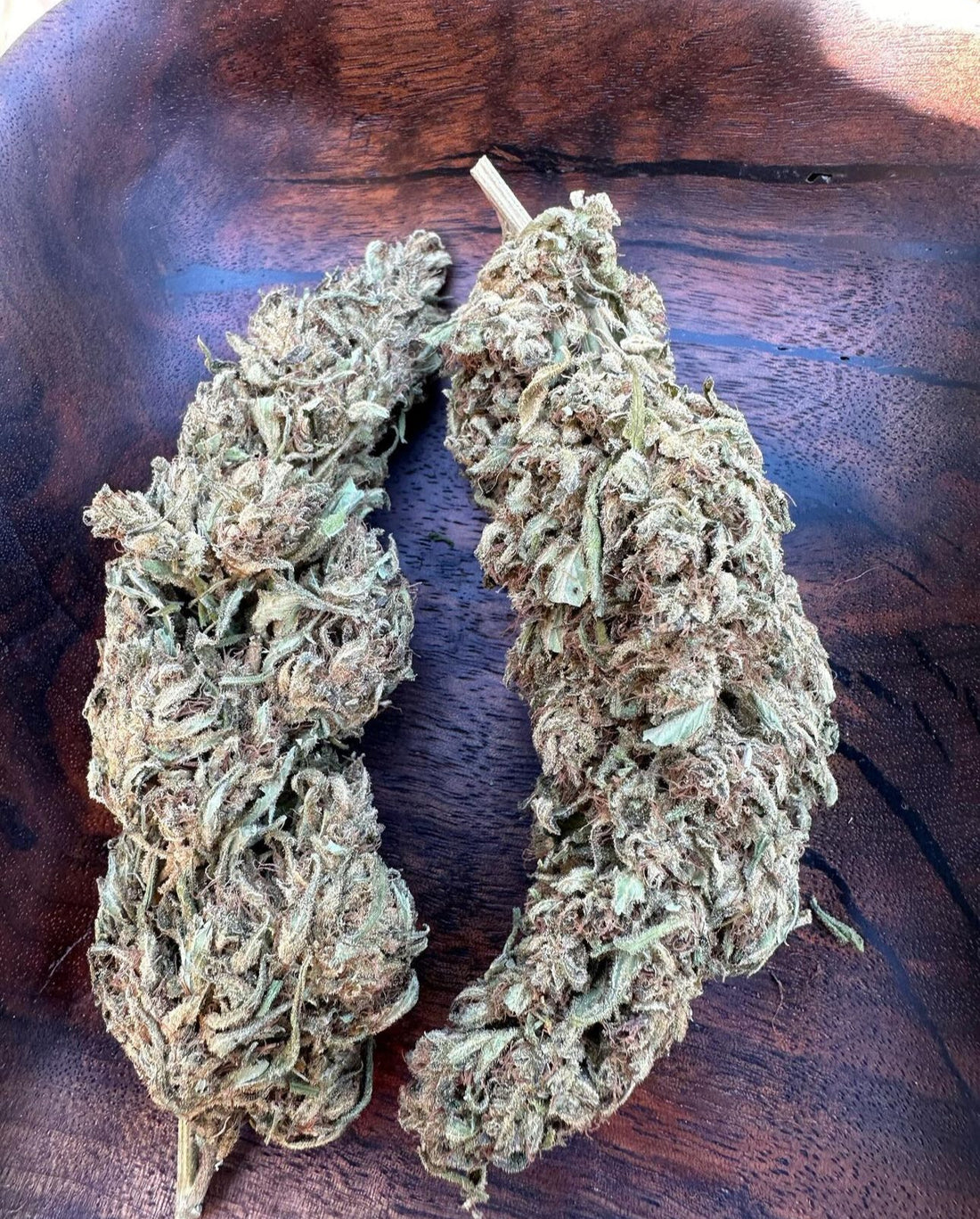 Coastal Seed Co - Kaua’i Electric x Thai Stick