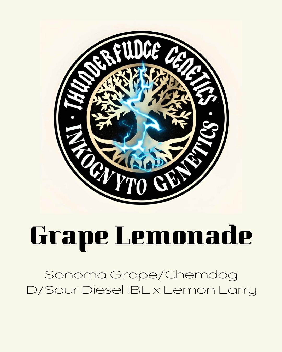 Thunderfudge x Inkognyto - Grape Lemonade