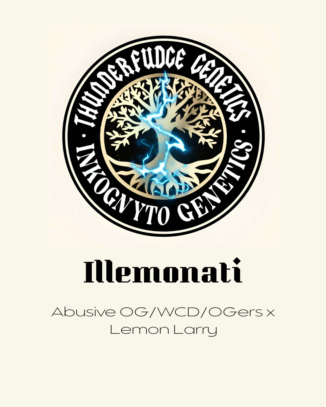 Thunderfudge x Inkognyto - Illemonati
