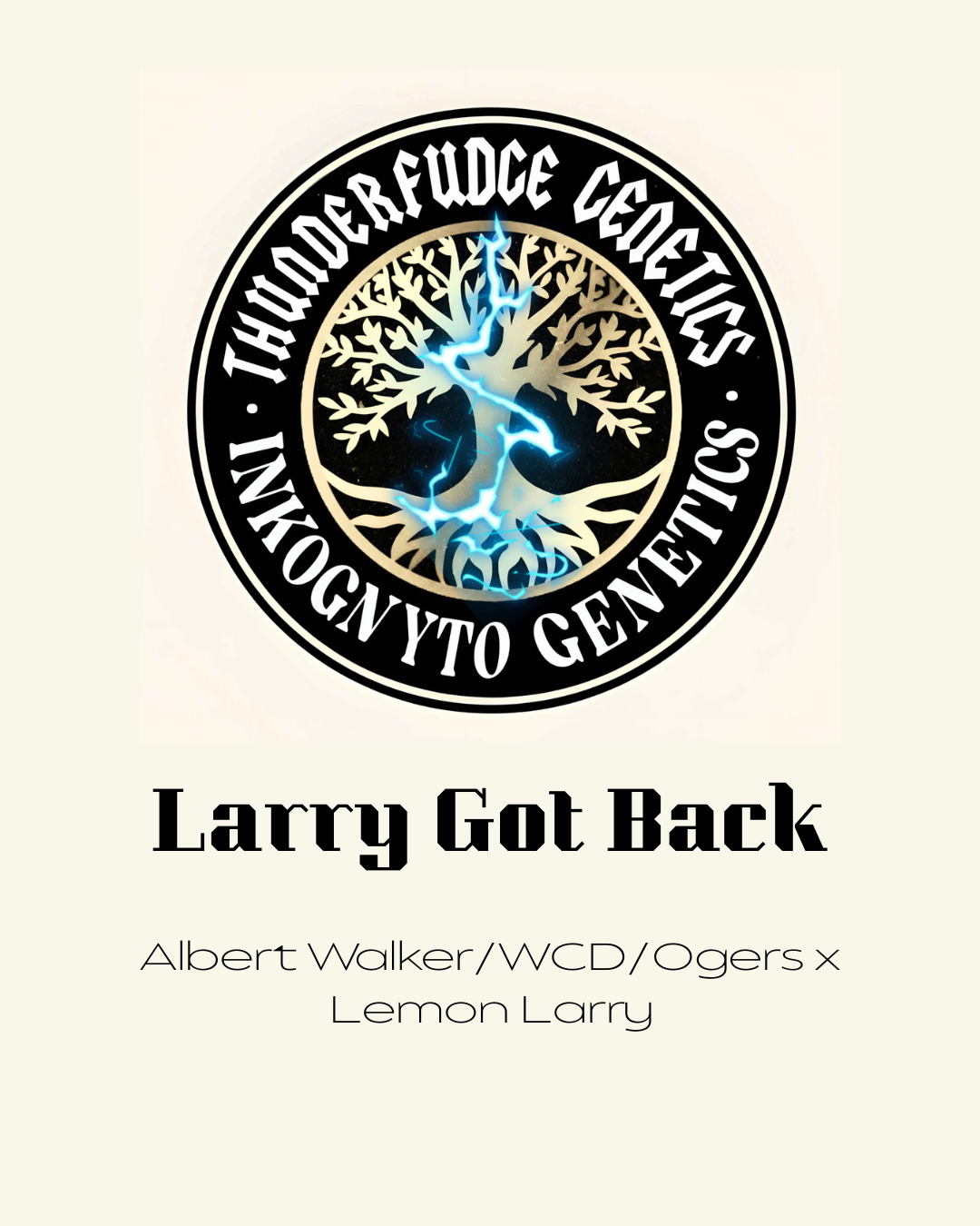 Thunderfudge x Inkognyto - Larry Got Back