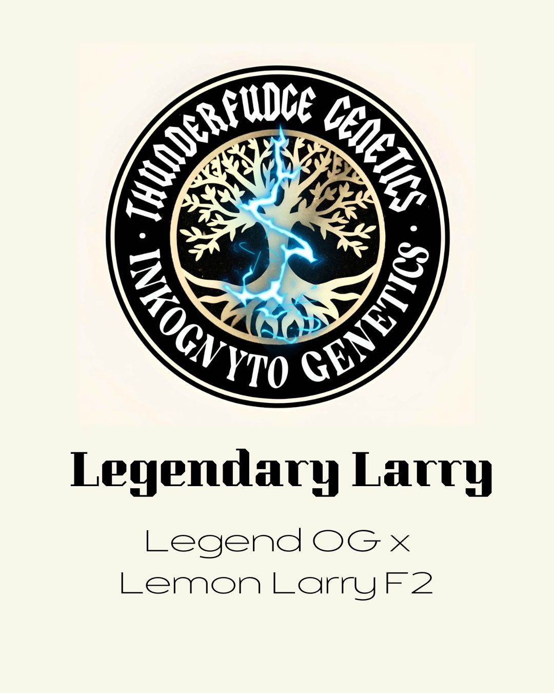 Thunderfudge x Inkognyto - Legendary Larry