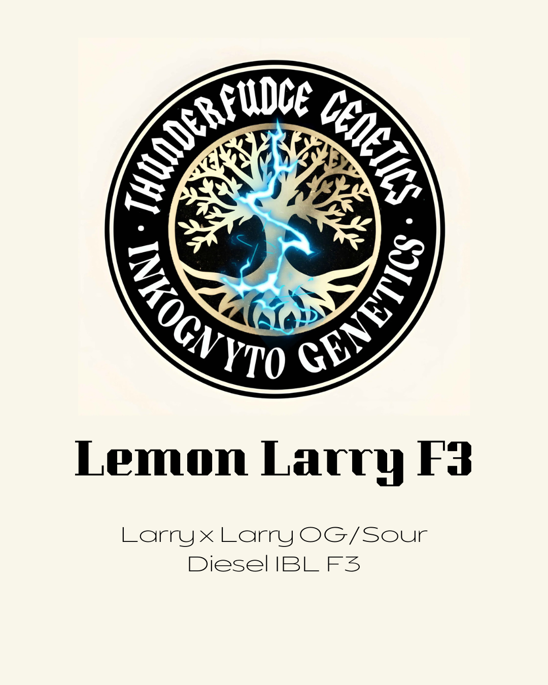 Thunderfudge x Inkognyto - Lemon Larry F3