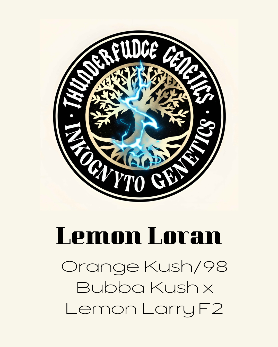 Thunderfudge x Inkognyto - Lemon Loran
