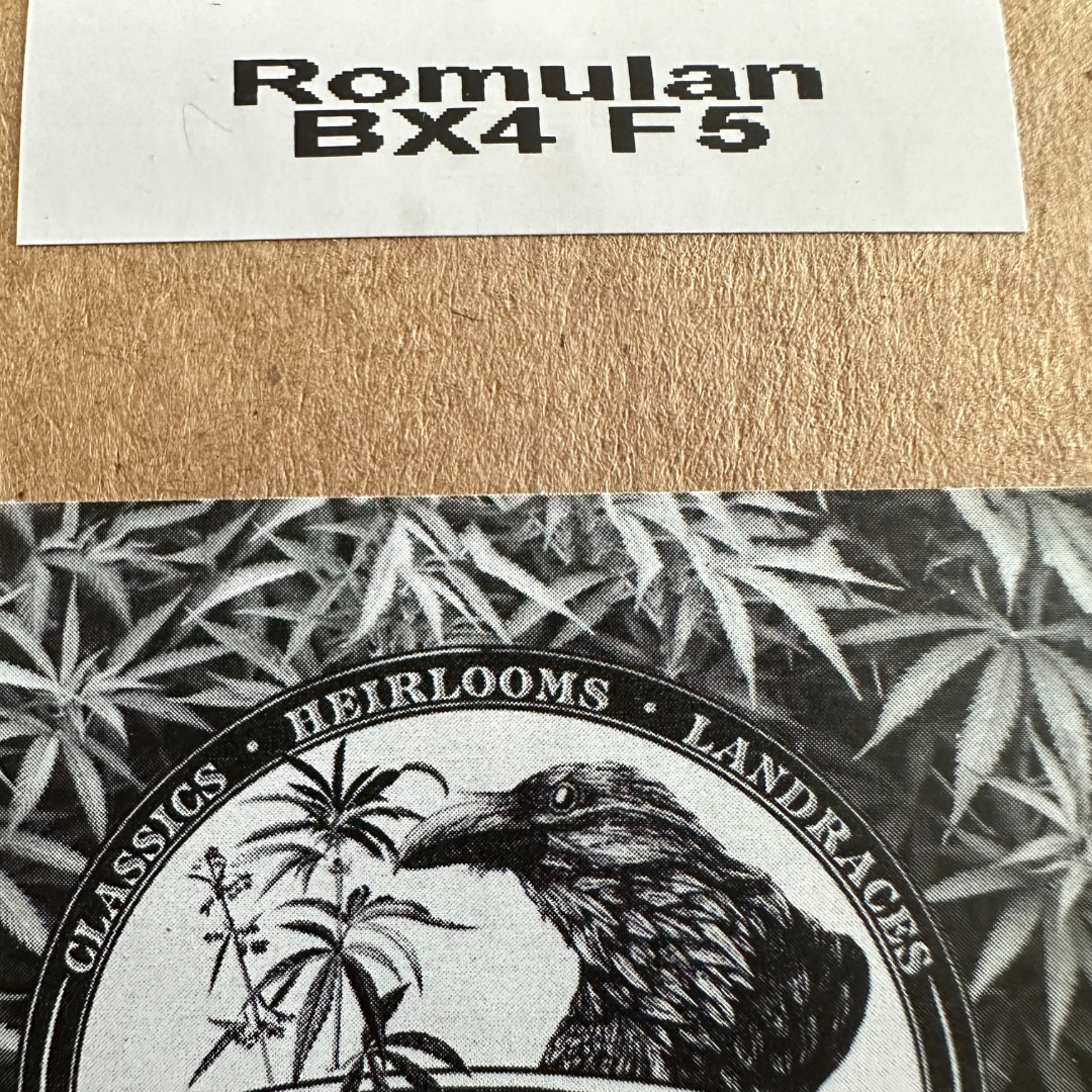 Blackbird Preservations - Romulan BX4 F5