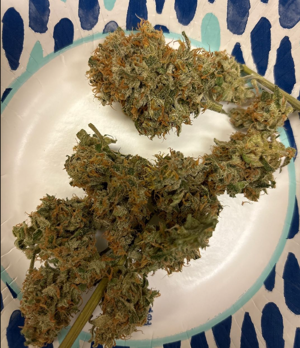 Santa Cruz Goat Farm - Electric Bluegaloo (F)