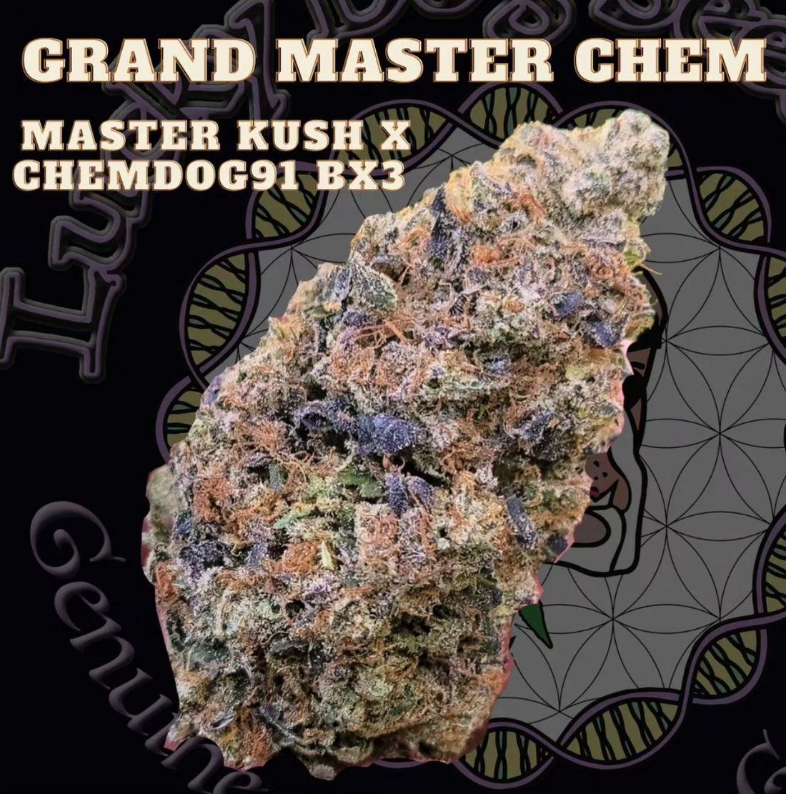 Lucky Dog Seed Co - Grand Master Chem