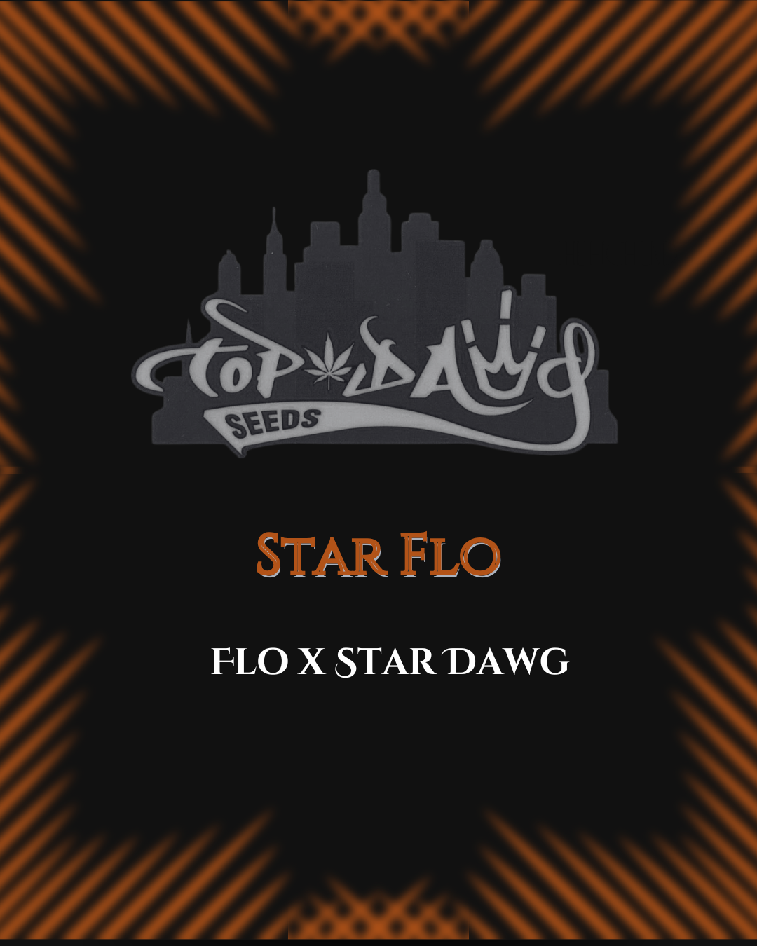 Top Dawg: Star Flo
