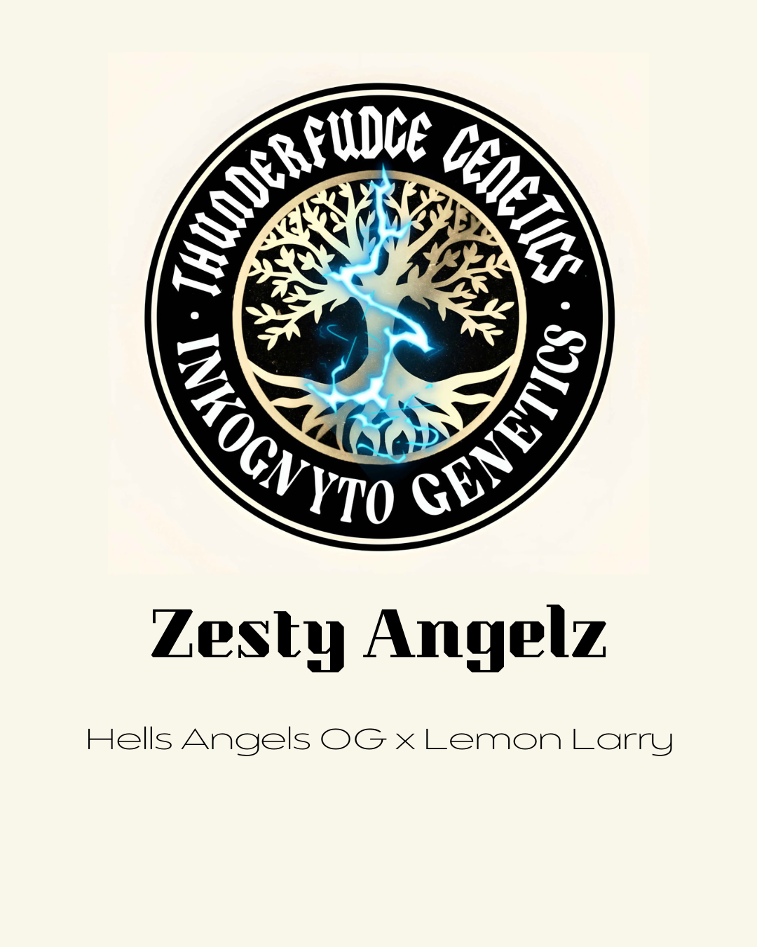 Thunderfudge x Inkognyto - Zesty Angelz