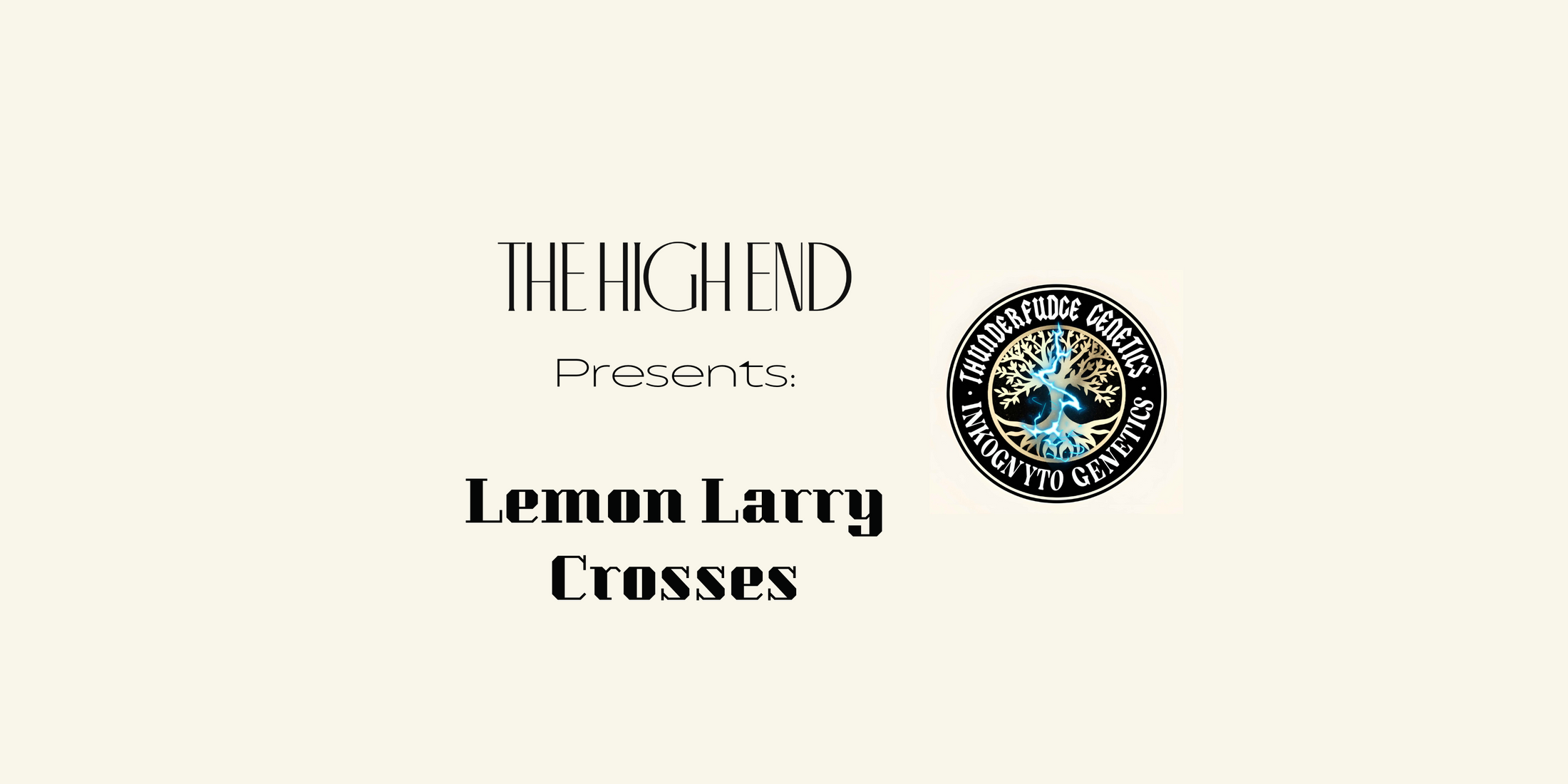 Lemon Larry: From Forum Legend to 2025 Revival