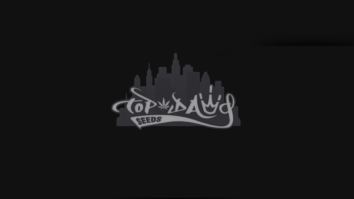 Top Dawg Seeds Media Hub Logo