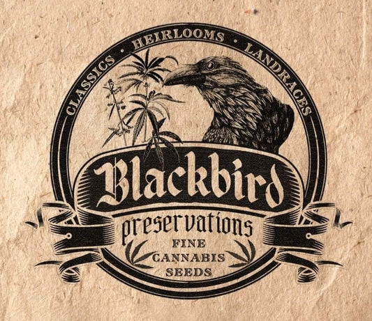 Blackbird Preservations