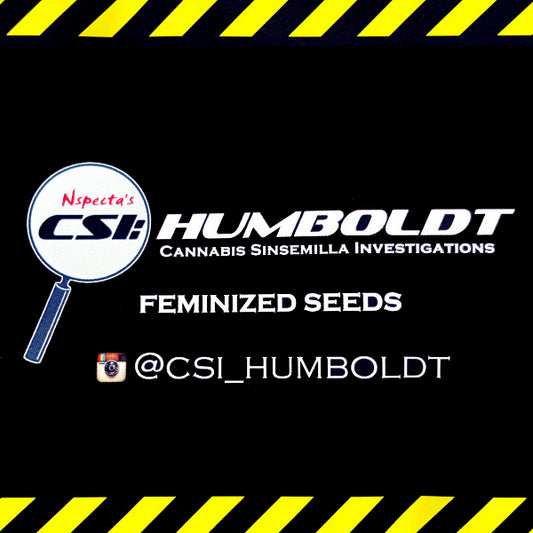 CSI: Humboldt