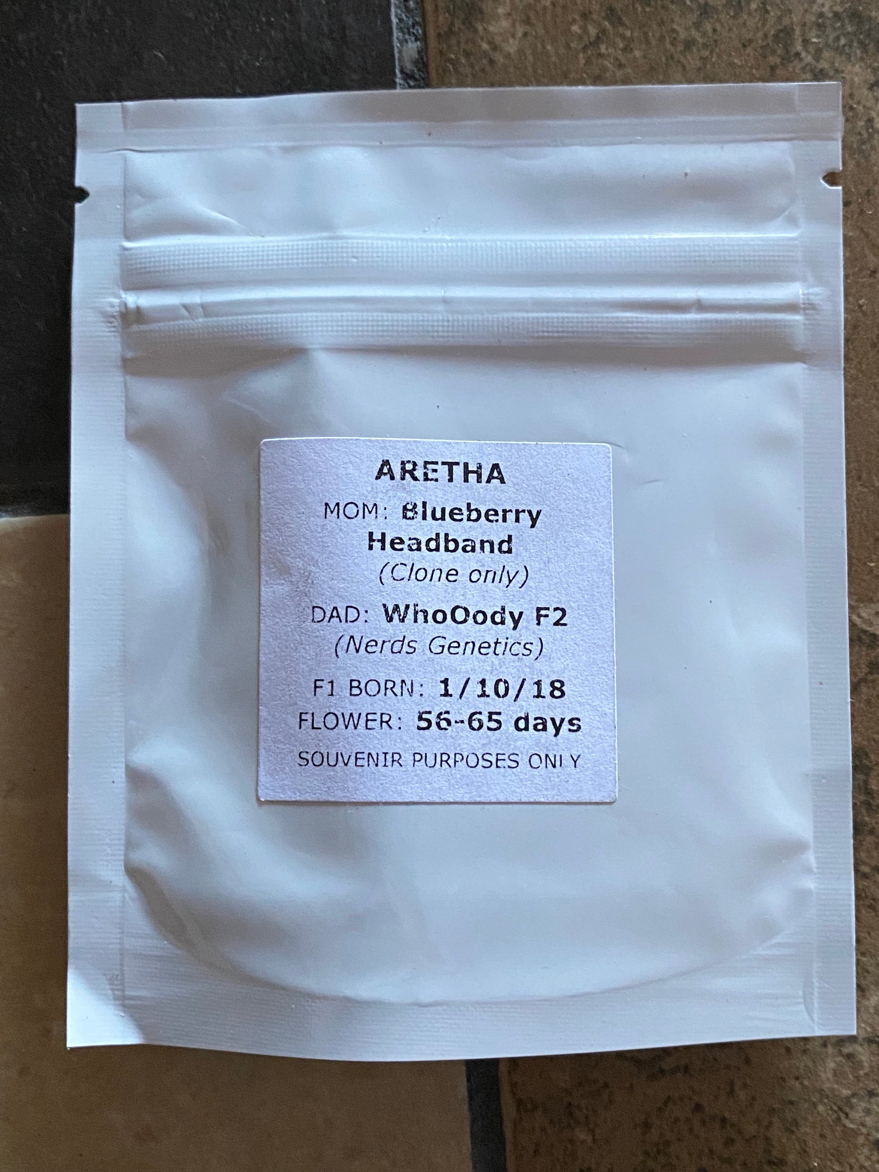 Nerds Genetics - Aretha