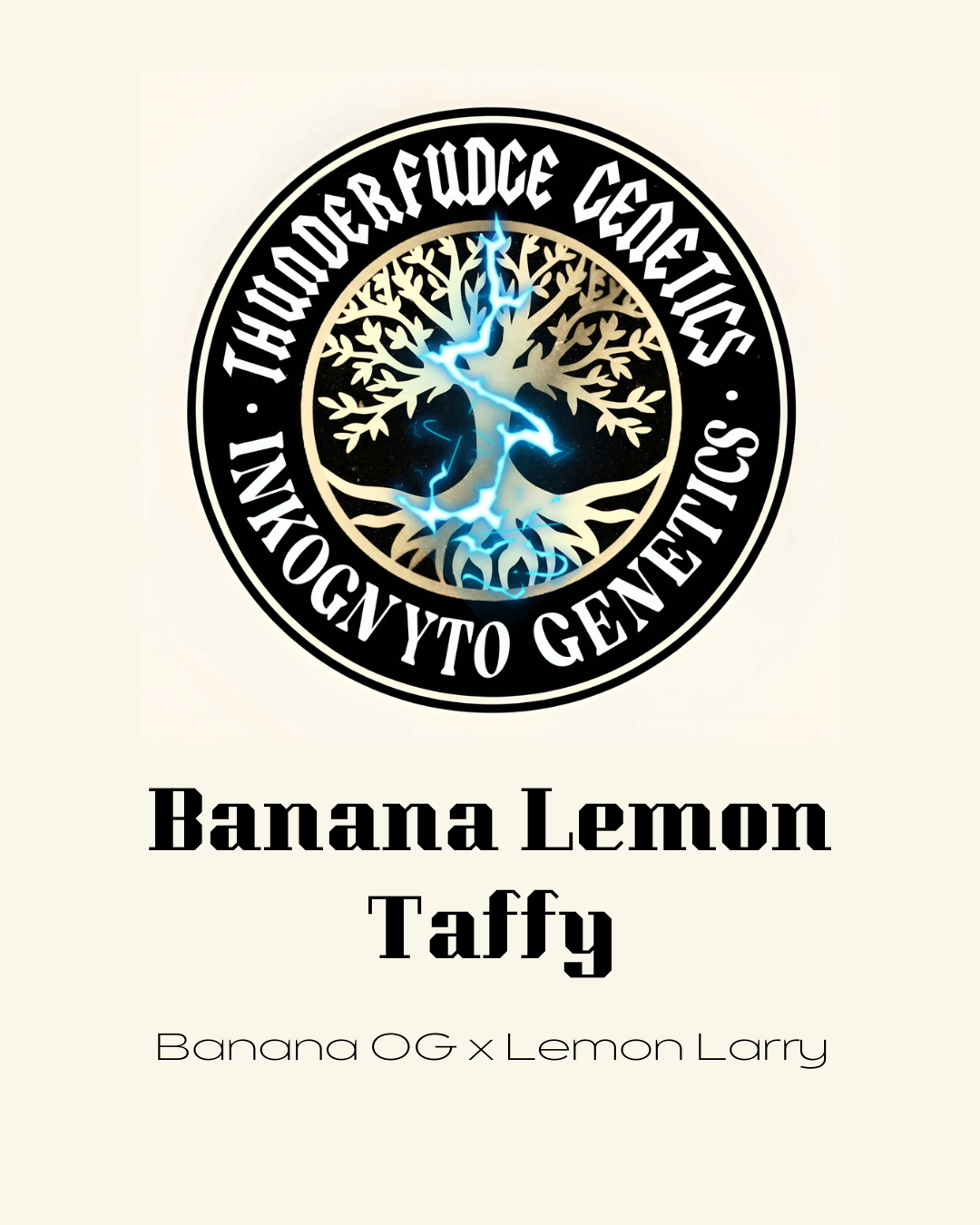 Thunderfudge x Inkognyto - Banana Lemon Taffy
