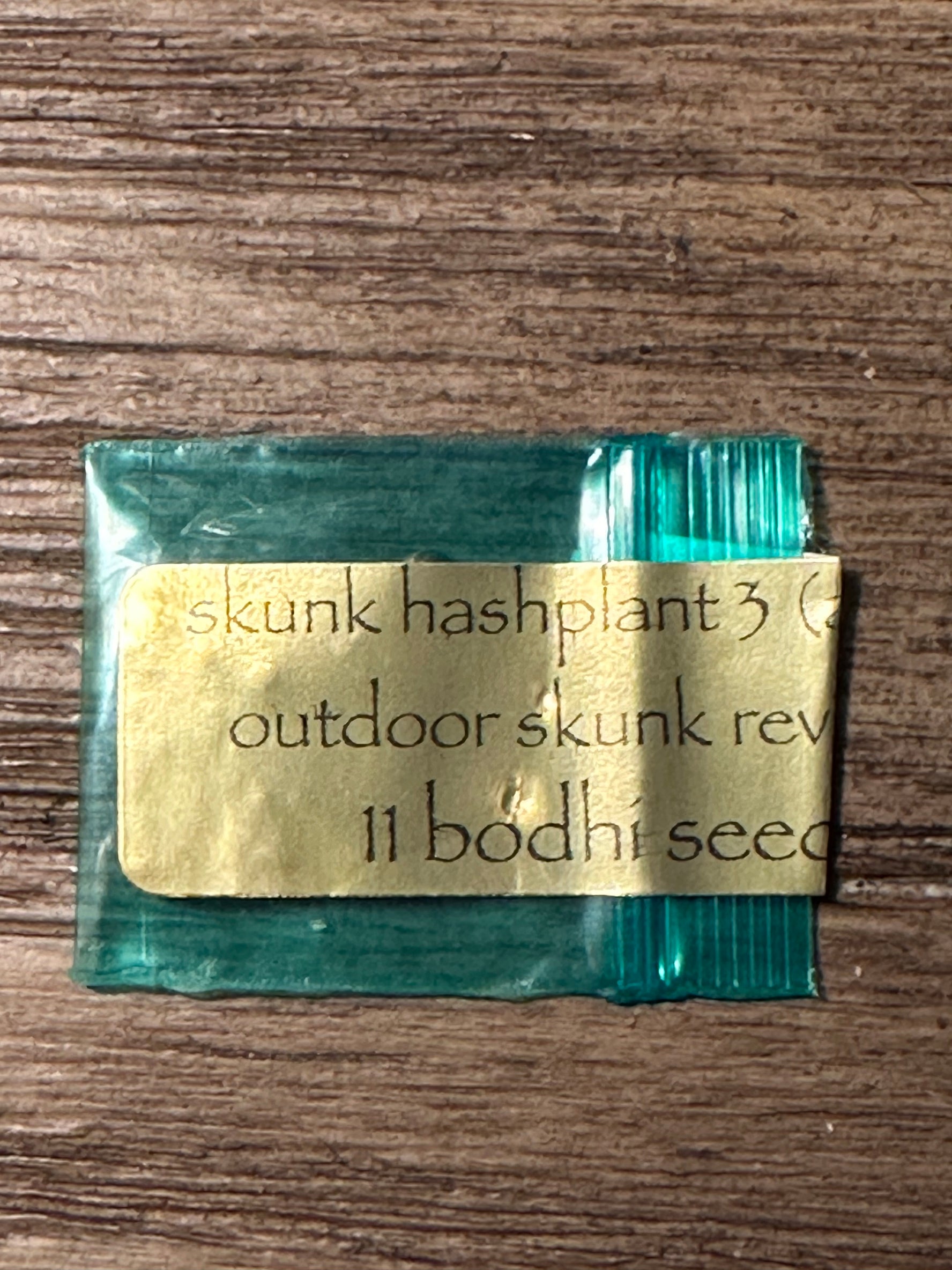 Bodhi - Skunk Hash Plant (Outdoor Skunk Revival #3)