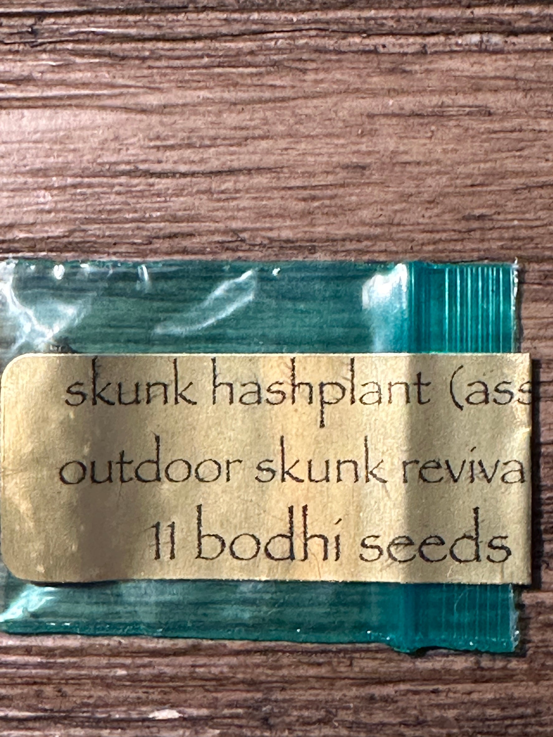 Bodhi - Skunk Hash Plant (Outdoor Skunk Revival #4)