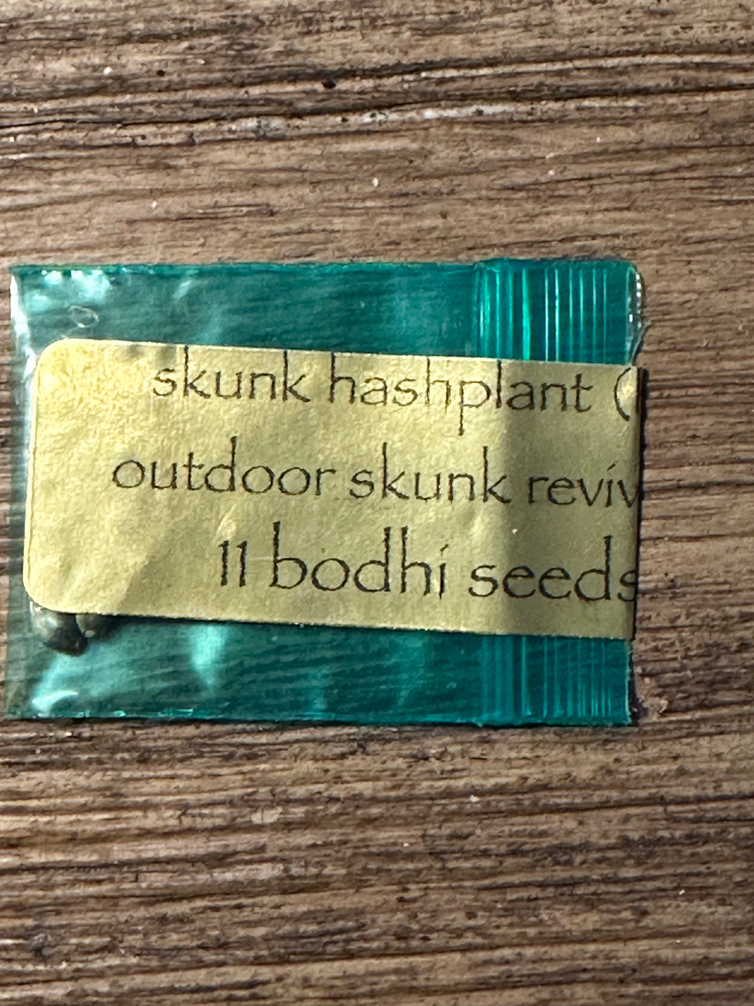 Bodhi - Skunk Hashplant (Outdoor Skunk Revival #2)