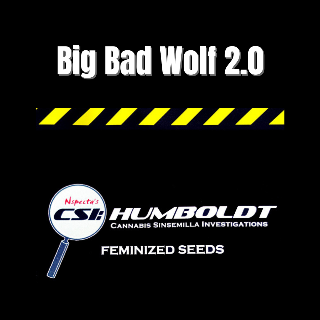 CSI: Humboldt - Big Bad Wolf 2.0