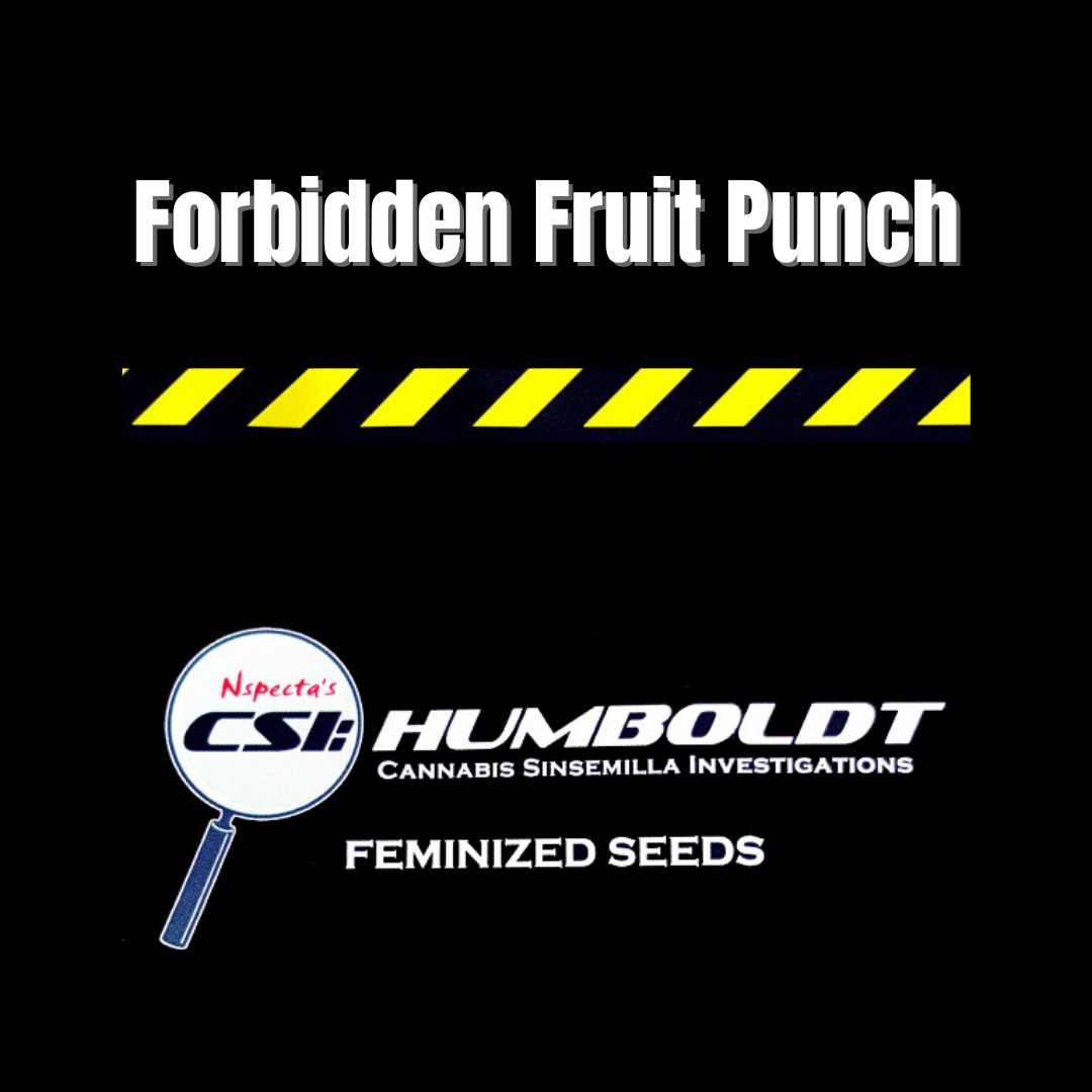 CSI: Humboldt - Forbidden Fruit Punch