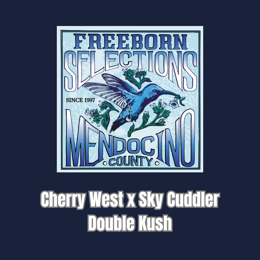 Freeborn Selections - Cherry West x Sky Cuddler Double Kush