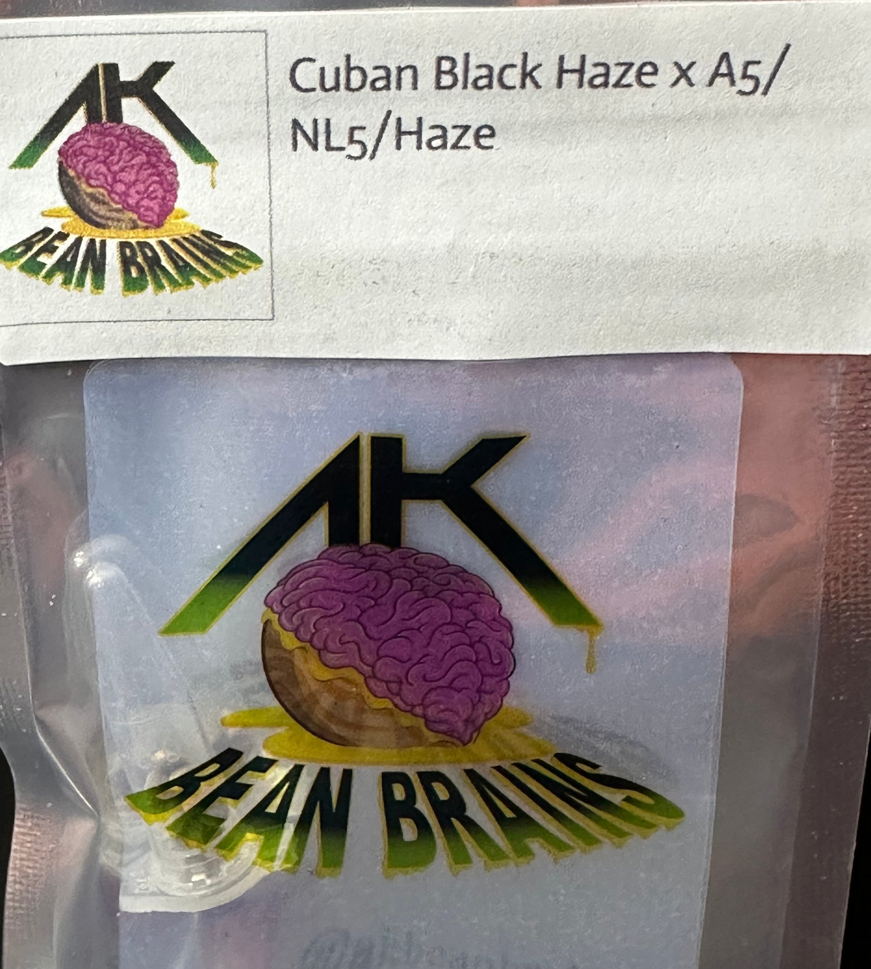 AK Bean Brains - Cuban Black Haze x A5/NL5/Haze