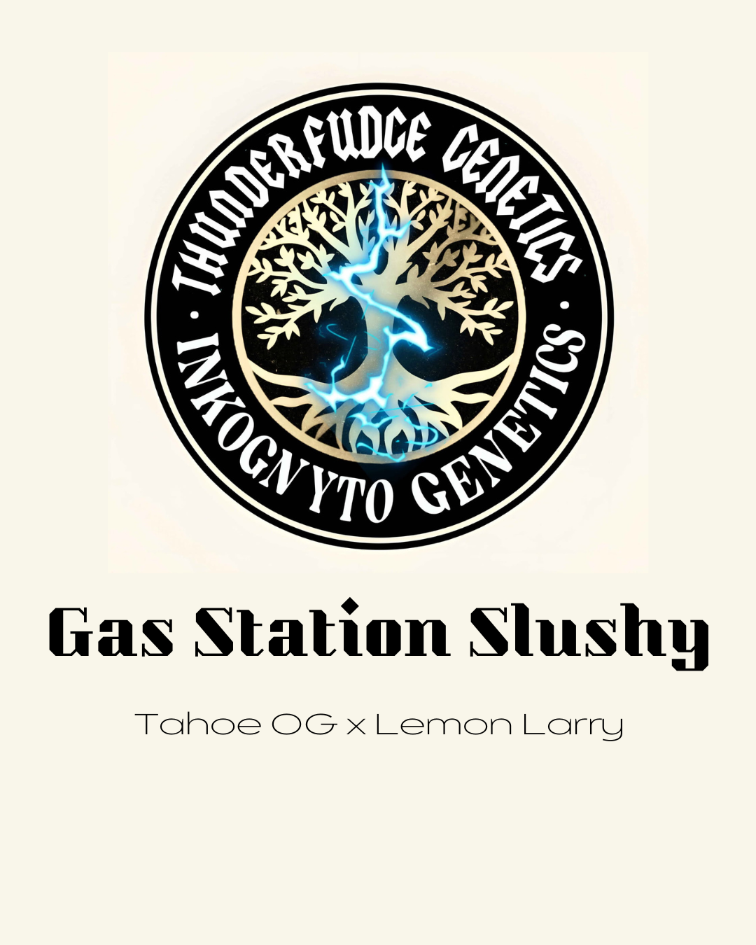 Thunderfudge x Inkognyto - Gas Station Slushy