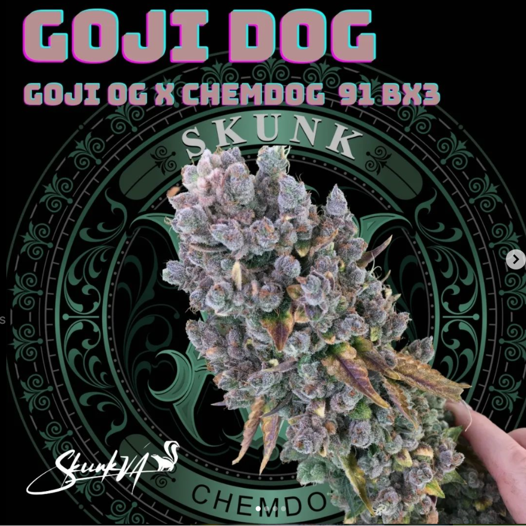 Lucky Dog Seed Co - Goji Dog