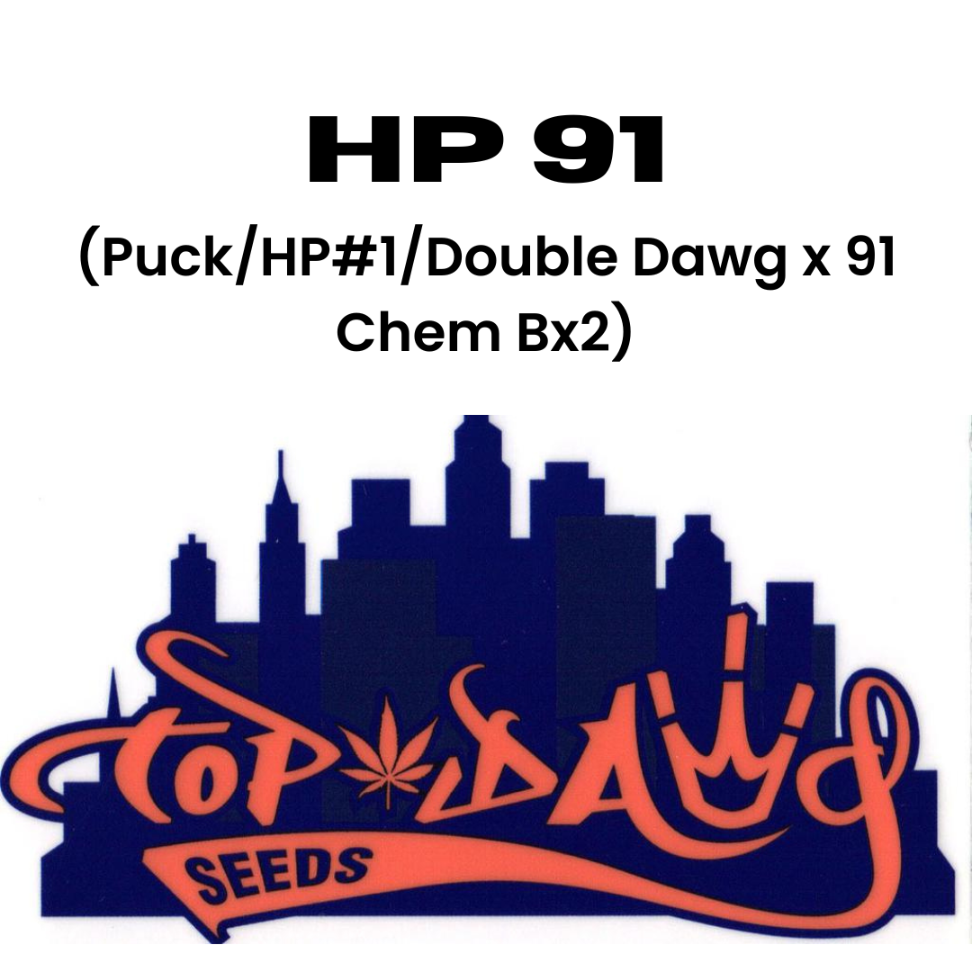 Top Dawg - HP 91