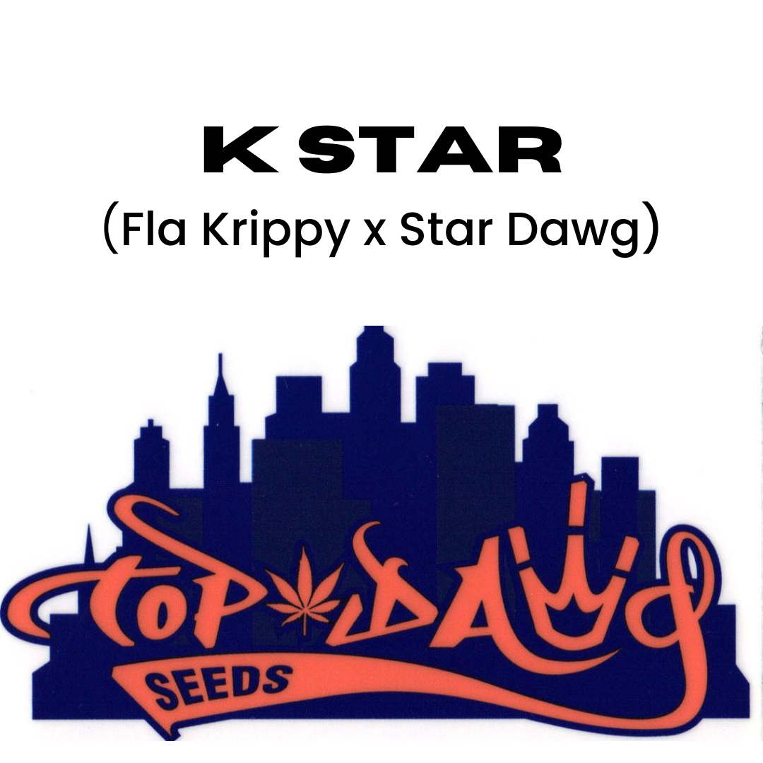 Top Dawg  - K Star