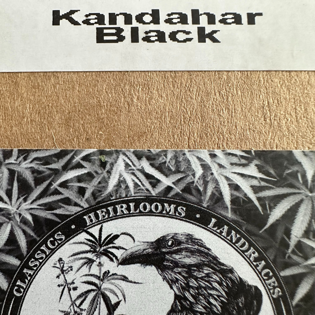Blackbird Preservations - Kandahar Black