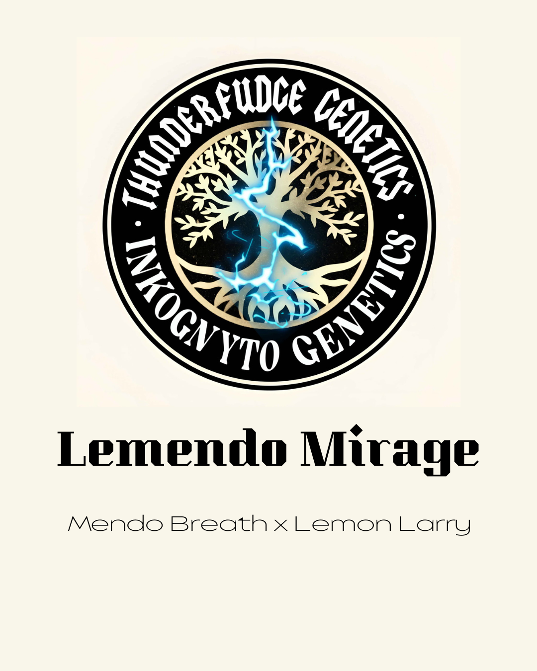 Thunderfudge x Inkognyto - Lemendo Mirage