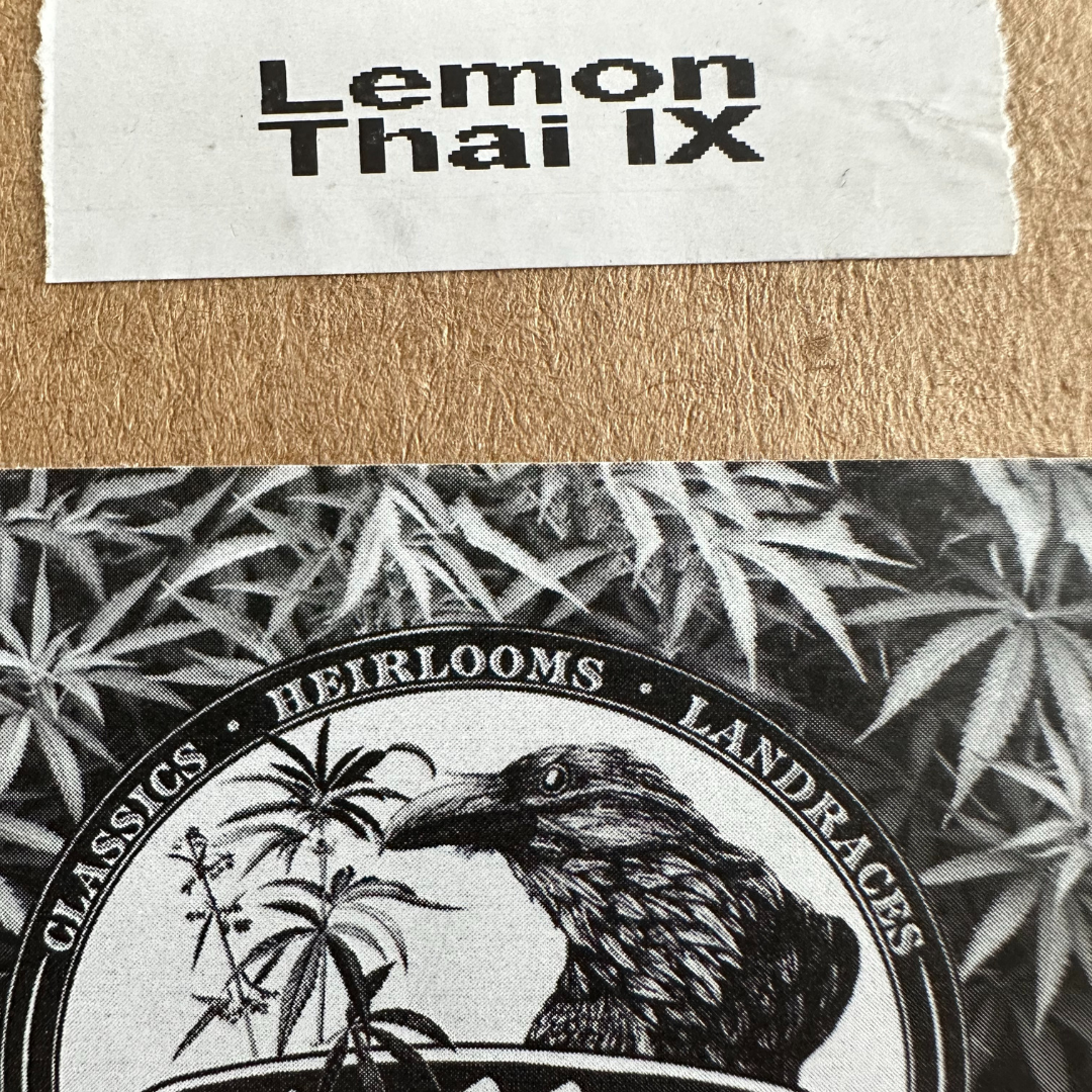 Blackbird Preservations - Lemon Thai IX