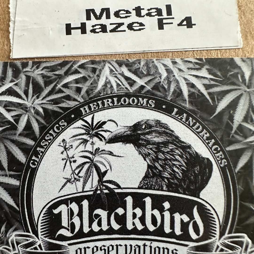 Blackbird Preservations - Metal Haze F4