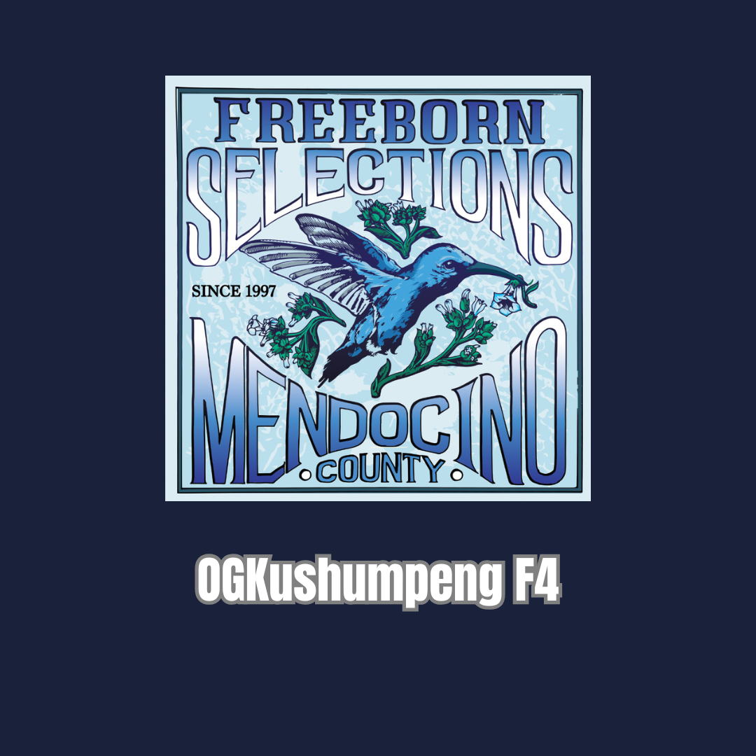 Freeborn Selections - OGKushumpeng F4