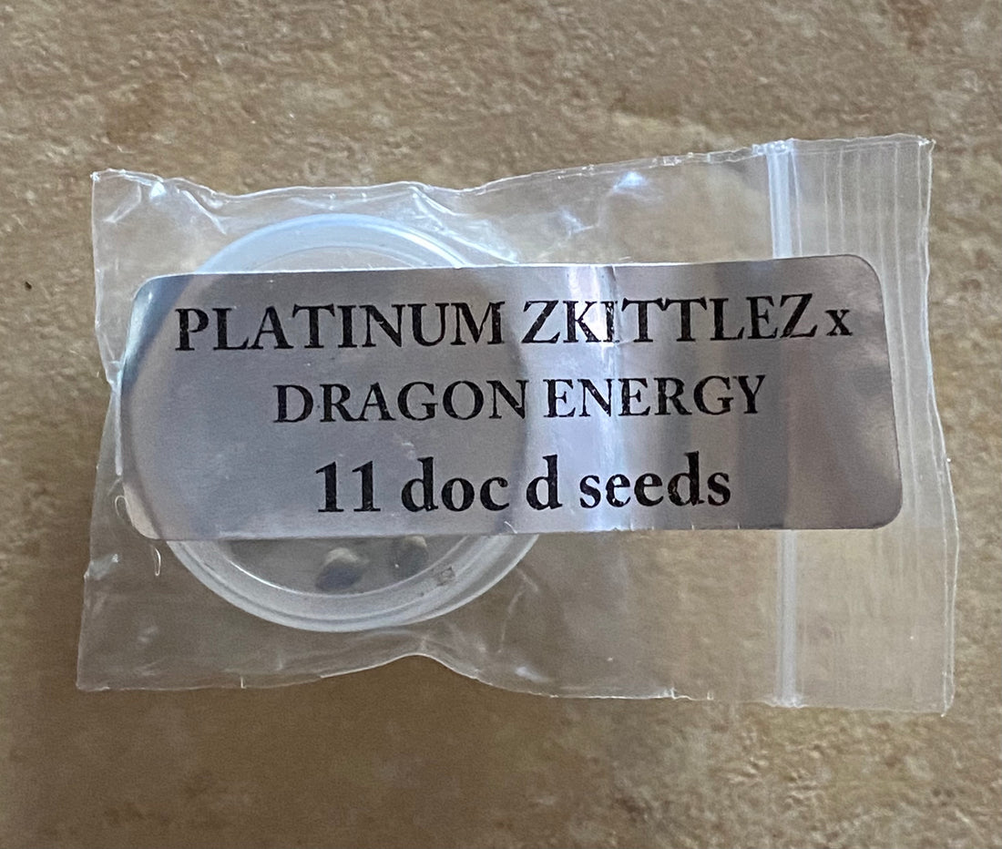 Doc D - Platinum Zkittlez x Dragon Energy