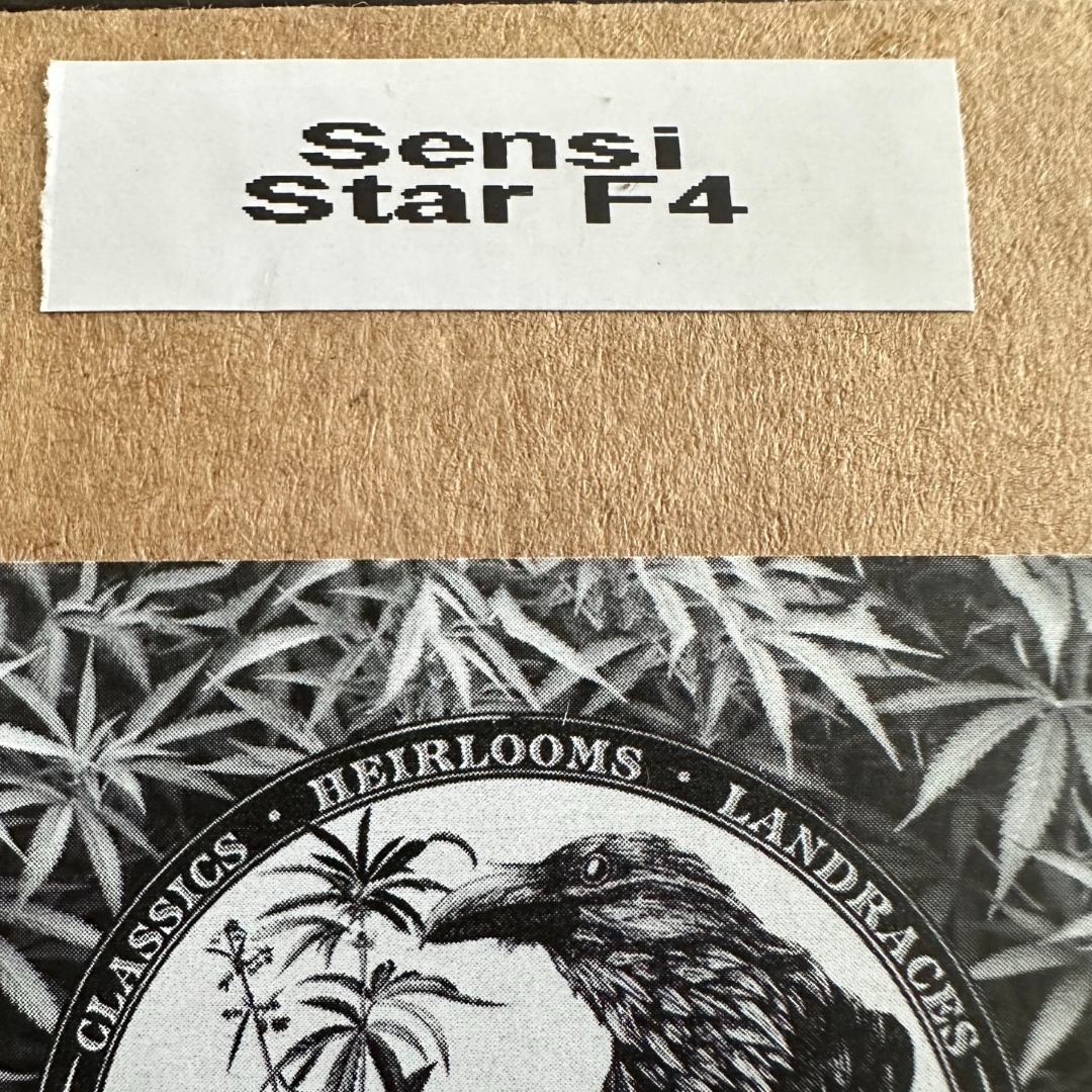 Blackbird Preservations - Sensi Star F4