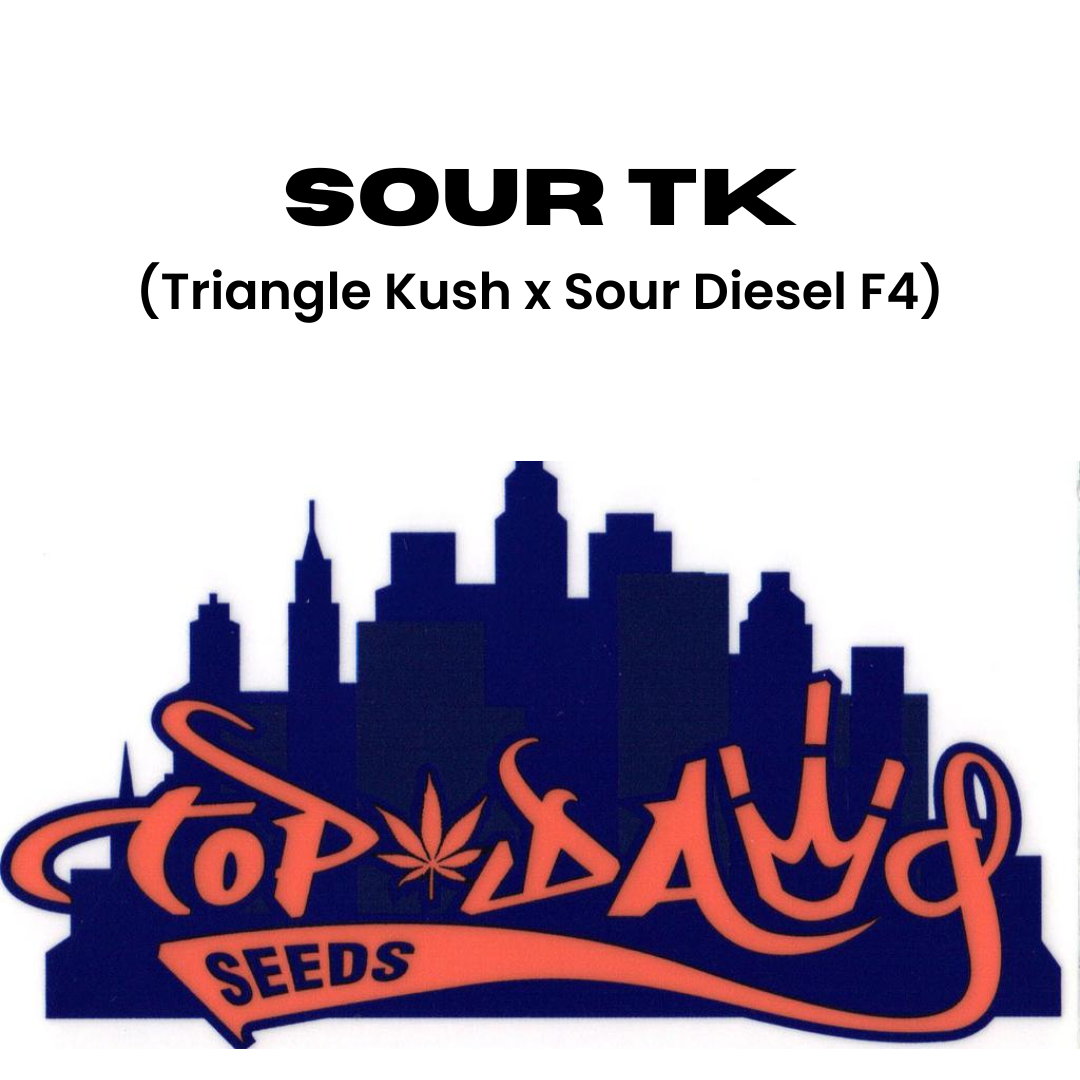 Top Dawg - Sour TK