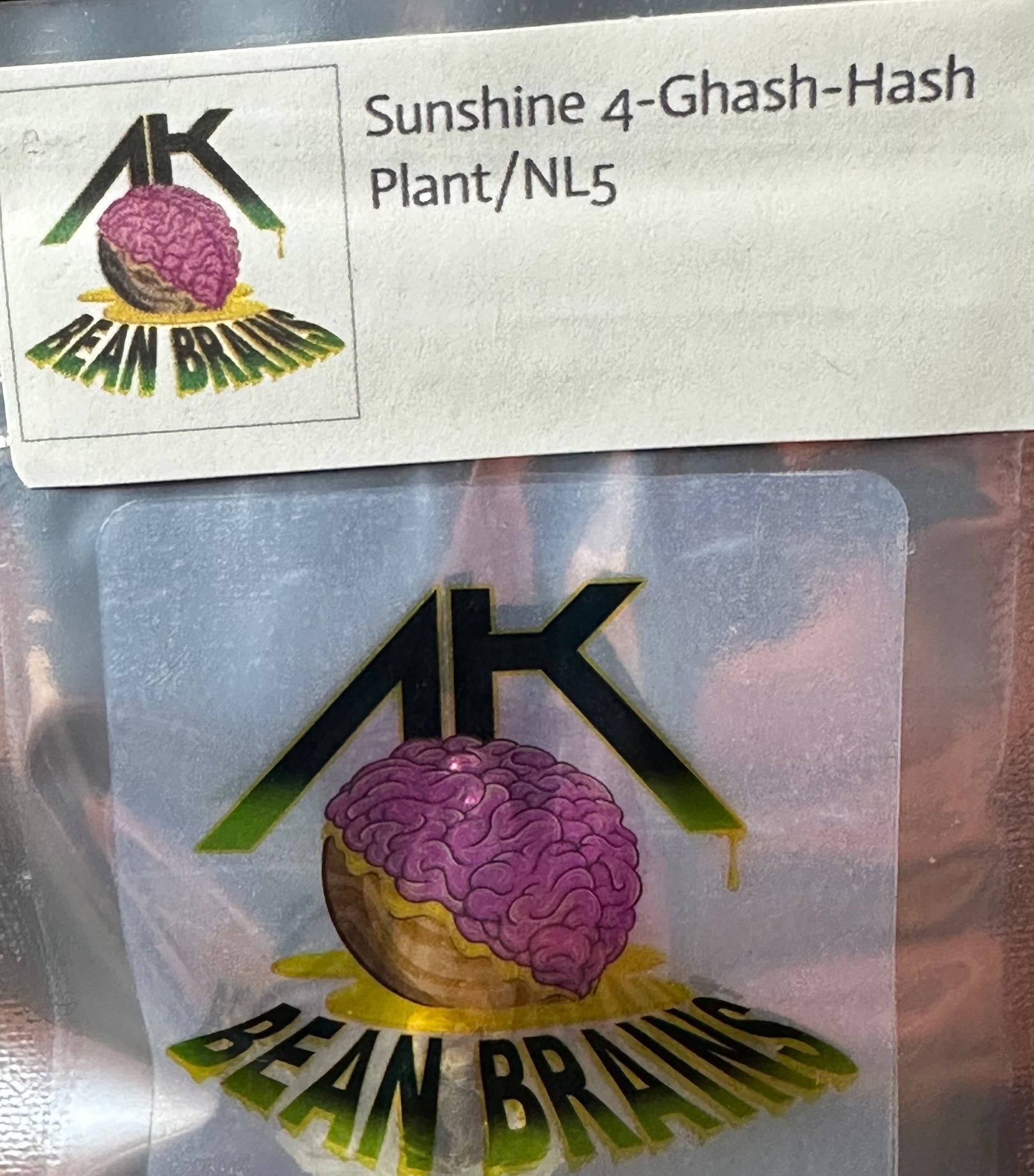 AK Bean Brains - Sunshine 4-Ghash-Hash Plant/NL5