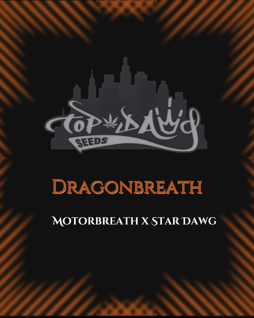 Top Dawg: Dragonbreath