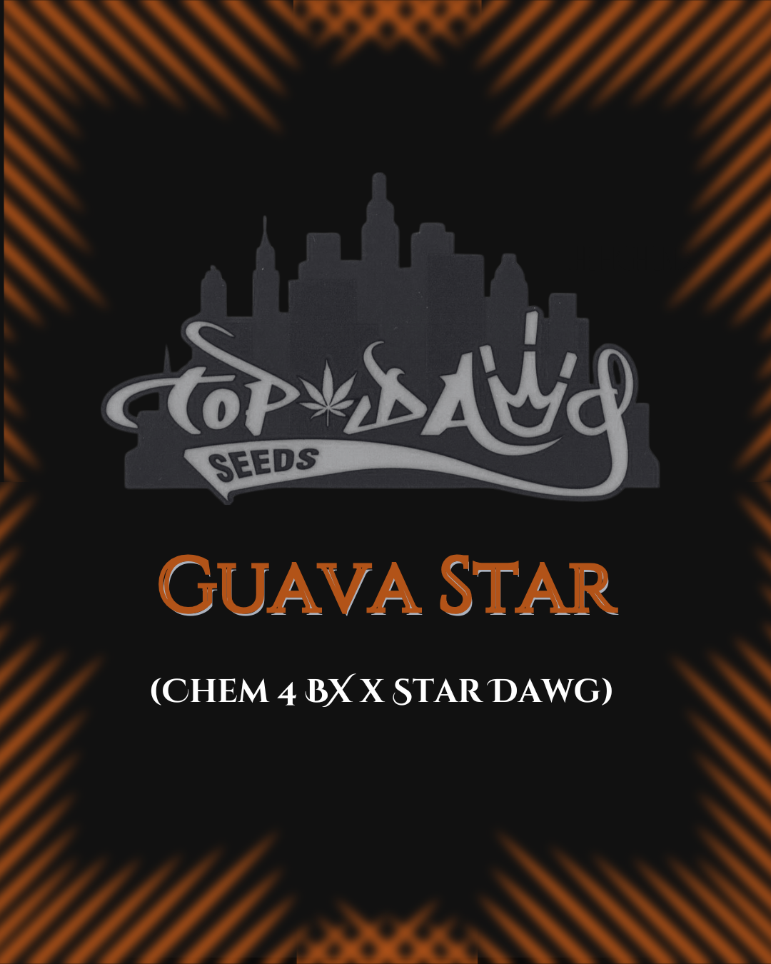 Top Dawg  - Guava Star