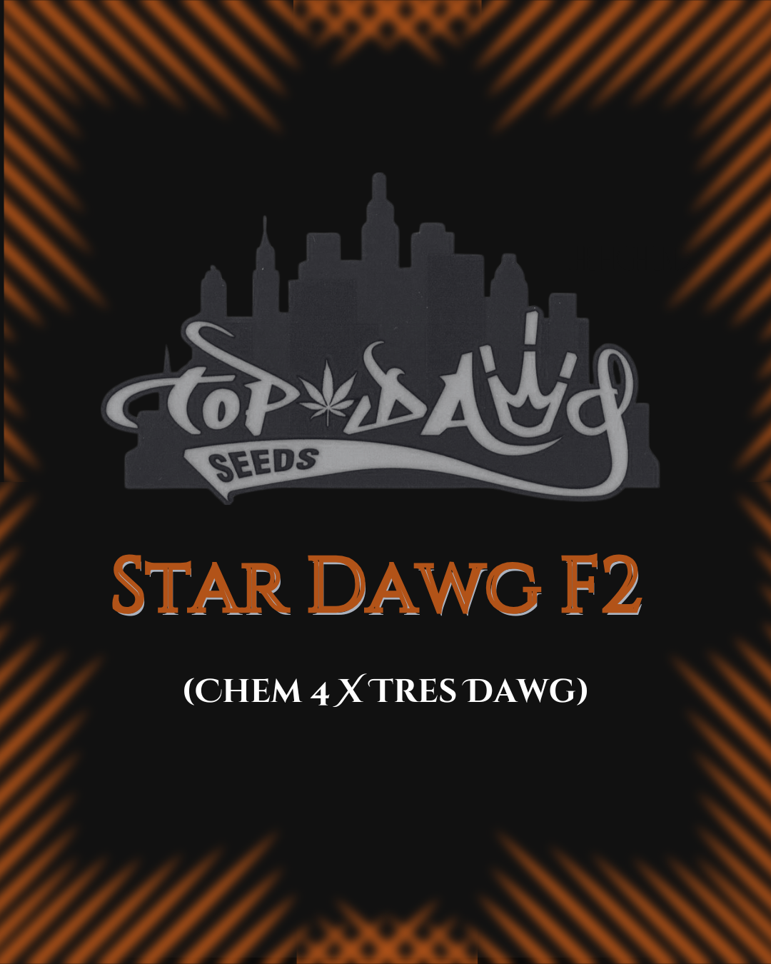 Top Dawg  - Star Dawg F2