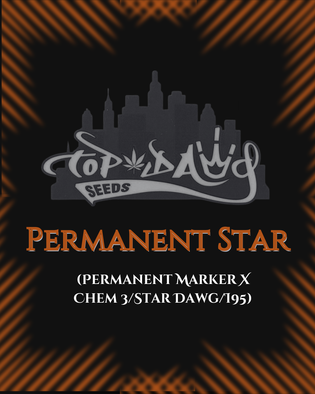 Top Dawg  - Permanent Star