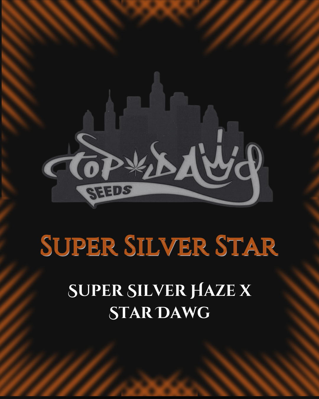 Top Dawg - Super Silver Star