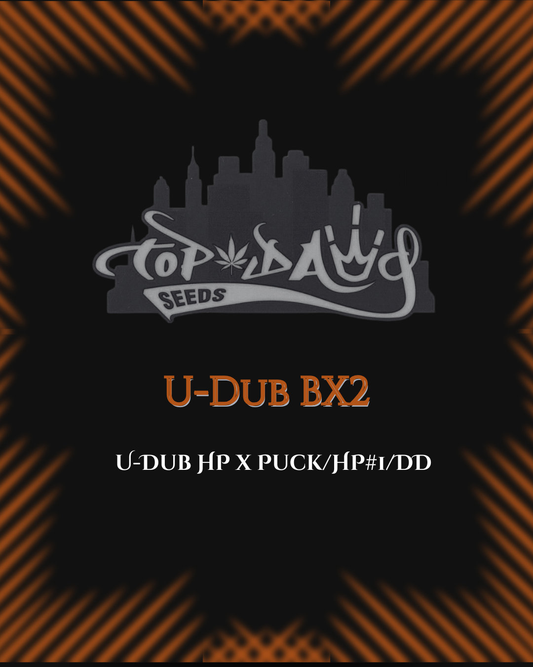Top Dawg: U-Dub HP BX2