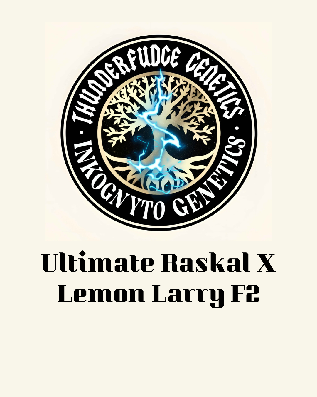 Thunderfudge x Inkognyto - Ultimate Raskal X Lemon Larry F2