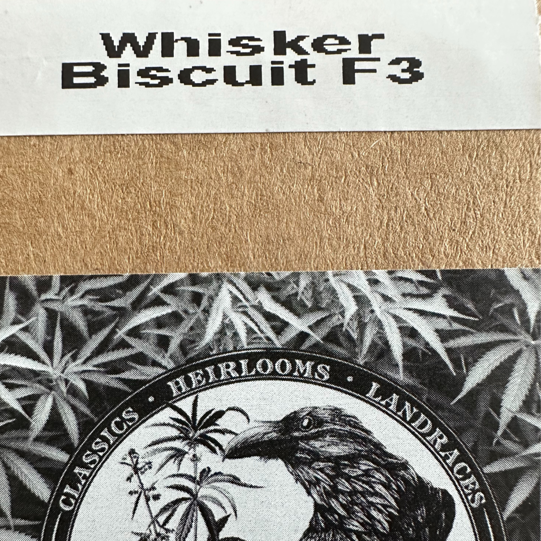 Blackbird Preservations - Whisker Biscuit F3