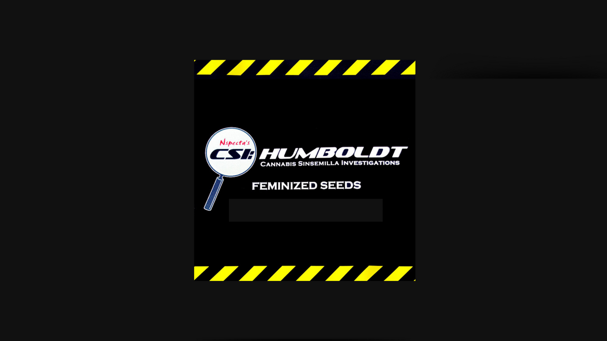 CSI: Humboldt - Domestic Disturbance